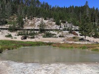 Mud Volcaneのバイソン（２）