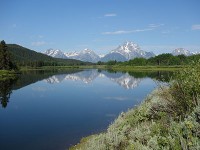 Mt Moran