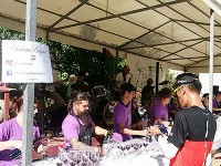 シャトーBelgrave-グラスワインと楽団：14キロ付近
