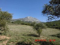 セント・ヴィクトワール山 （セザンヌが80枚以上描いたという山。十字架の所まで登ってきました。）