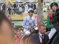 武豊別レース