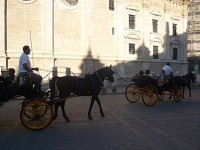観光客を乗せた馬車
