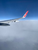 ターキッシュエアラインズ