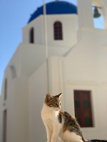 イア