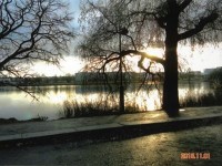 トーロ湾ぞいの公園から