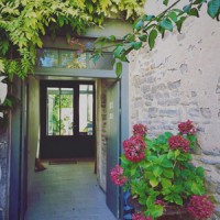 紫陽花、フランスではこの季節に咲くのよね。