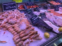 手長エビの隣に並んでいる目がギョロっとした魚はタラの仲間らしい。