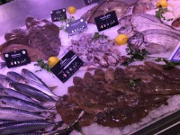 CETEAUX という小ぶりのカレイ？ヒラメ？一緒に並べてあるサバや鯛、マトウダイと比較するとサイズ感が判りやすいと思います。