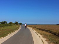 いいお天気！皆サイクリングを楽しんでいます。