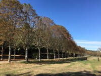 とても大きな公園です。