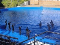 水族館