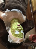 シュレック！？