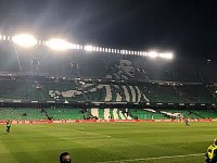 サッカー観戦