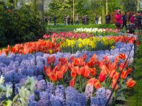 キューケンホフ公園