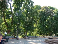 公園