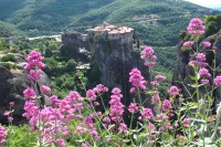 ヴァルラアム修道院、5月は野の花がきれい