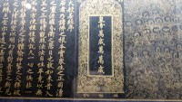 国宝金尼経