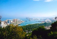 展望台からの海を一望