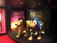 Queen Studio Experience