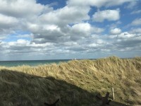 Utah Beach Museum ユタビーチ