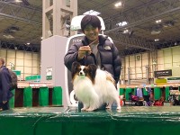 ディアちゃん