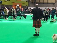 スコットランドのジャッジなので正装のキルトを着ていらっしゃいます