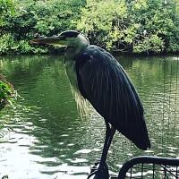 王立動物園