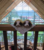 フロム、フレイハイムホテル(ノルウェー)から