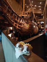 ヴァーサー号とはなず、ヴァーサー号博物館