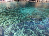 海の透明感に感動！