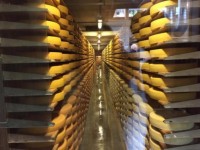 チーズ工場