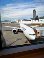 台風とっくに過ぎたのに飛ばないAF機