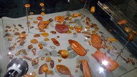 琥珀博物館