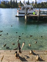 ワカティプ湖畔