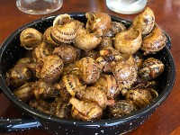 名物のカタツムリ料理・・・！