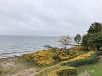 庭から海を見下ろしたところ