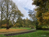 ルンド大学の植物園は広大な敷地にところどころ畑などあり、通学で通っている小学生もいるような自由な空間