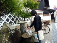 いつでも汲める,白牡丹