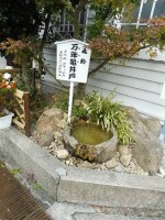 実際には汲めない
