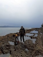 探検ツアーよりも、磯遊び