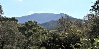 展望台から周辺の風景