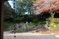 表からは見えない庭