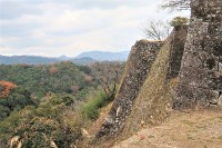 残った城壁から周辺を望む
