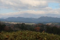 城からの遠景