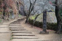 上り階段、右に手すり用のかまぼこ石