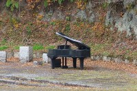 展示されているピアノ