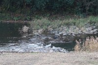 前を流れる稲葉川,夏は手前の広場でフェスティバル
