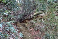 急な階段の上に雨除けが右に見える