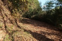 途中の道、殆ど人は通らない