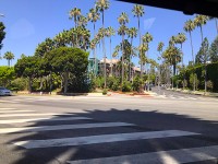 Beverly Hills（2）